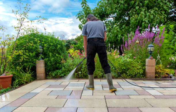 Roma, TX  Pressure Washing Services Company
